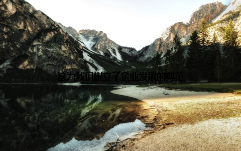 这为我们树立了企业发展的典范