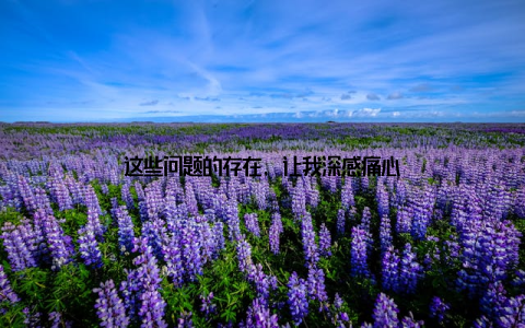 这些问题的存在, 让我深感痛心