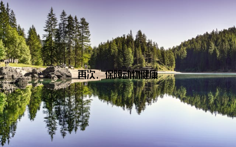 再次, 保障动物健康