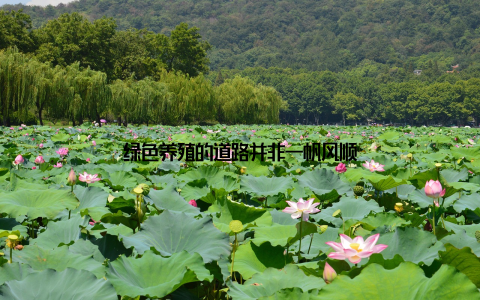 绿色养殖的道路并非一帆风顺