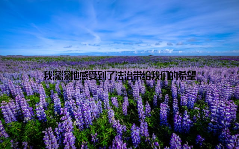 我深深地感受到了法治带给我们的希望