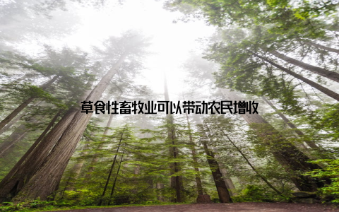 草食性畜牧业可以带动农民增收