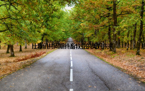 让我们共同期待畜牧业的美好未来