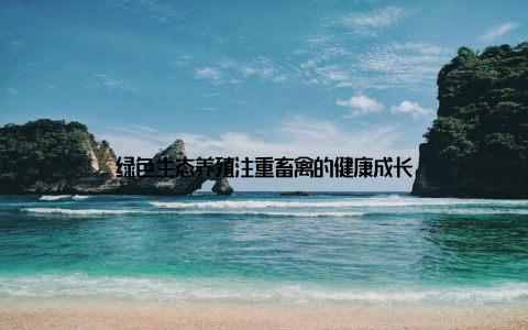 绿色生态养殖注重畜禽的健康成长