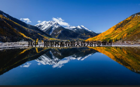 其中, 那里养畜牧最大成为行业焦点