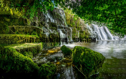 技术员指着饲料槽, 向我介绍道