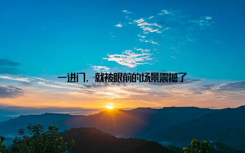 一进门, 就被眼前的场景震撼了