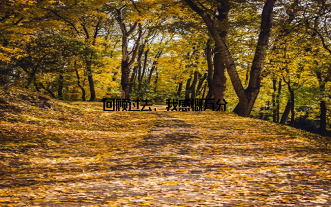 回顾过去, 我感慨万分