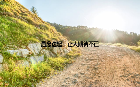 悬念迭起, 让人期待不已