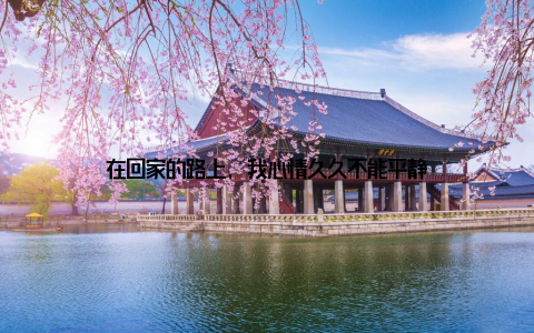 在回家的路上, 我心情久久不能平静
