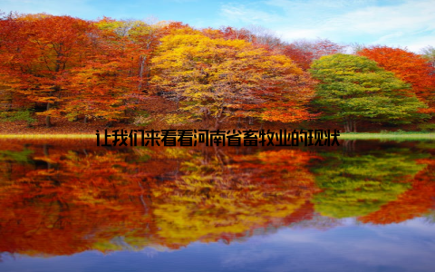 让我们来看看河南省畜牧业的现状