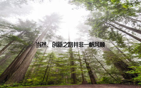 当然, 创新之路并非一帆风顺