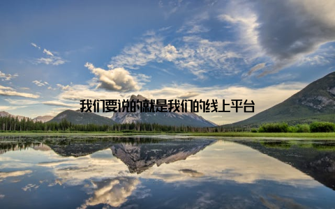 我们要说的就是我们的线上平台