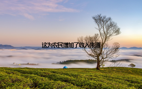 这为农民增加了收入来源