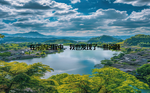 在采访过程中, 我也发现了一些问题