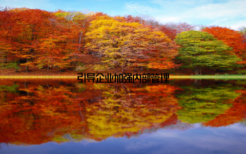 引导企业加强内部管理