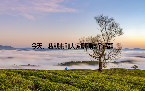 今天, 我就来和大家聊聊这个话题