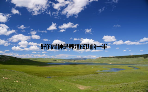 好的品种是养殖成功的一半