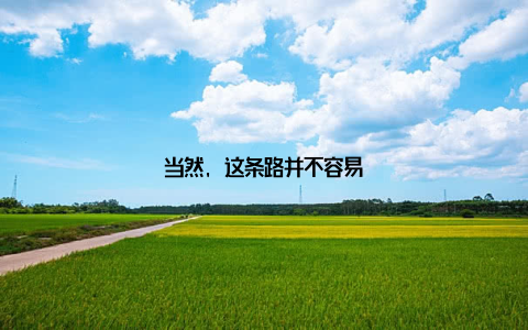 当然, 这条路并不容易