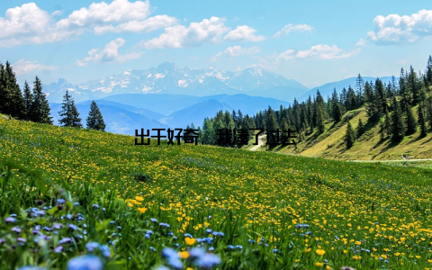 出于好奇, 我凑了过去