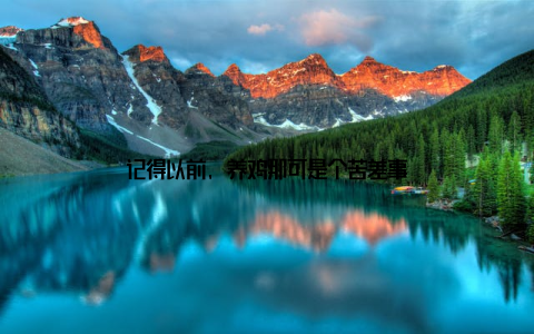 记得以前, 养鸡那可是个苦差事