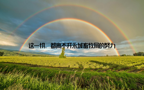 这一切, 都离不开永城畜牧局的努力