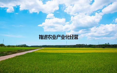 推进农业产业化经营