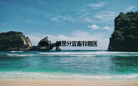 他们, 就是分宜畜牧兽医