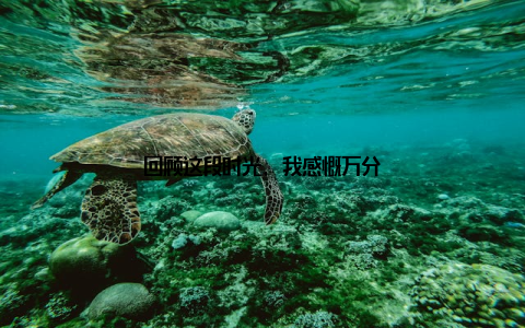 回顾这段时光, 我感慨万分