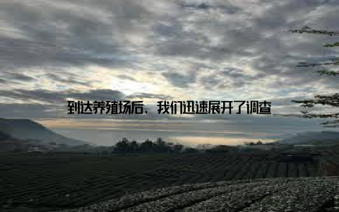 到达养殖场后, 我们迅速展开了调查