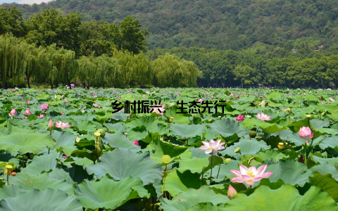 乡村振兴, 生态先行