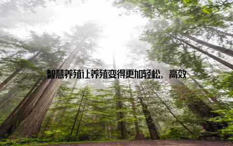 智慧养殖让养殖变得更加轻松、高效