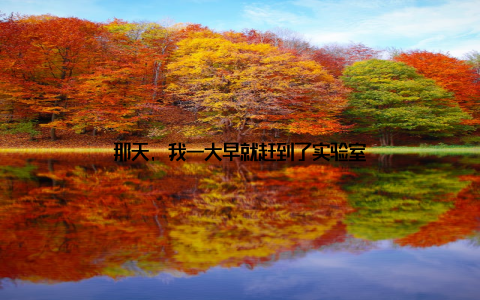 那天, 我一大早就赶到了实验室