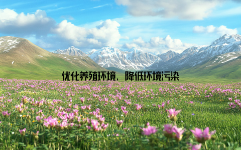 优化养殖环境, 降低环境污染