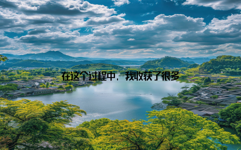 在这个过程中, 我收获了很多