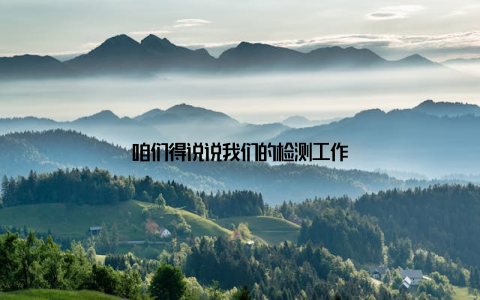 咱们得说说我们的检测工作