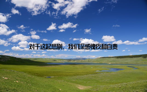 对于这起悲剧, 我们深感愧疚和自责