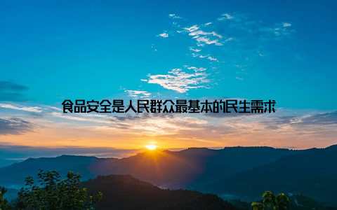食品安全是人民群众最基本的民生需求