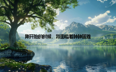 刚开始的时候, 我面临着种种困难