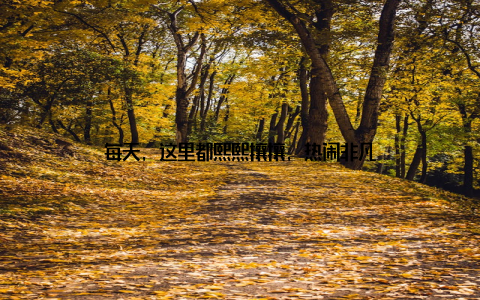 每天, 这里都熙熙攘攘, 热闹非凡