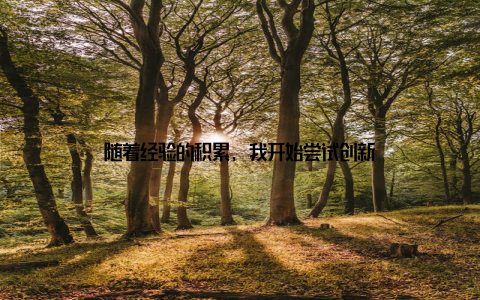 随着经验的积累, 我开始尝试创新