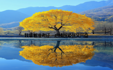 我拿着准考证, 心情既紧张又兴奋