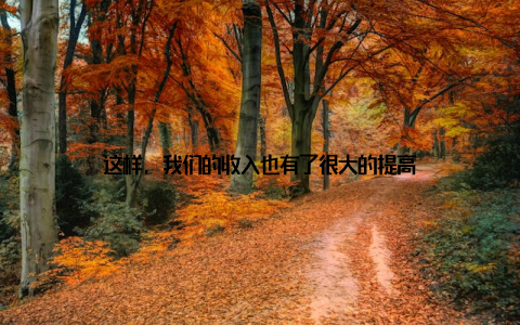 这样, 我们的收入也有了很大的提高