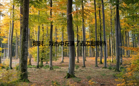 那时, 我心中充满了忐忑和期待