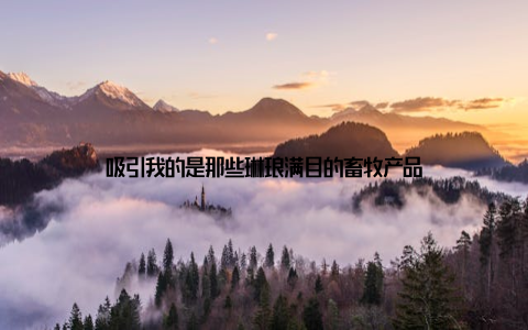 吸引我的是那些琳琅满目的畜牧产品