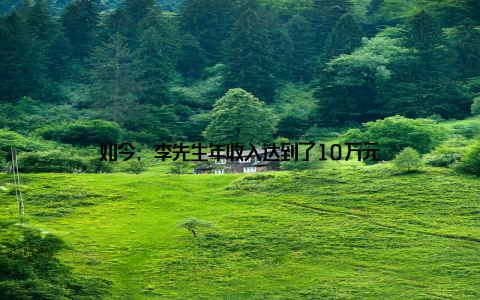 如今, 李先生年收入达到了10万元