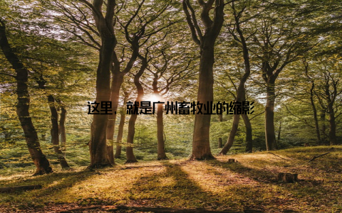 这里, 就是广州畜牧业的缩影