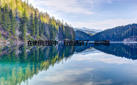 在使用过程中, 我也遇到了一些问题