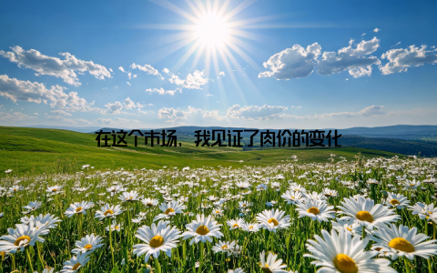 在这个市场, 我见证了肉价的变化