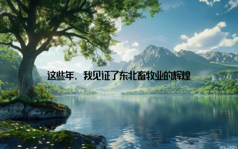 这些年, 我见证了东北畜牧业的辉煌